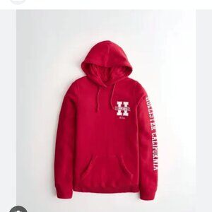Hollister Vintage Hoodie